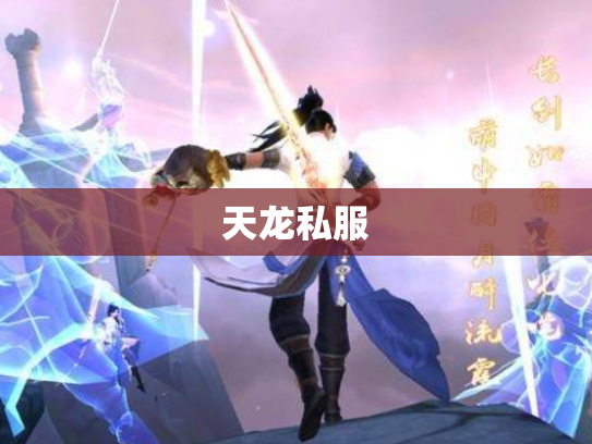 天龙私服