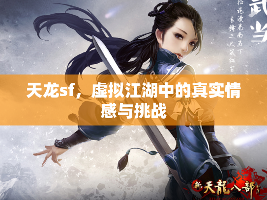 天龙sf，虚拟江湖中的真实情感与挑战