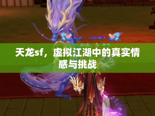 天龙sf，虚拟江湖中的真实情感与挑战