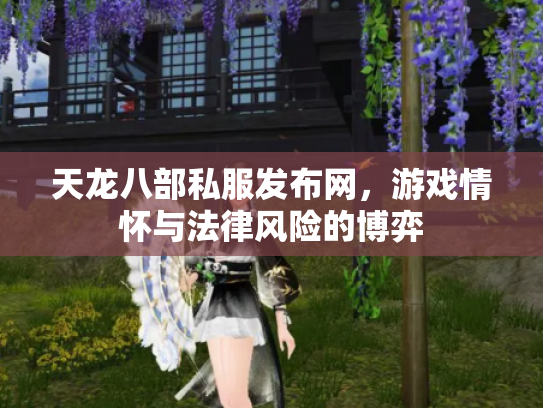 天龙八部私服发布网，游戏情怀与法律风险的博弈