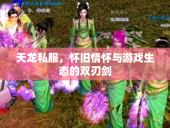 天龙私服，怀旧情怀与游戏生态的双刃剑