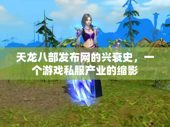 天龙八部发布网的兴衰史，一个游戏私服产业的缩影