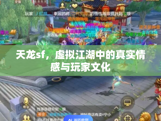 天龙sf，虚拟江湖中的真实情感与玩家文化