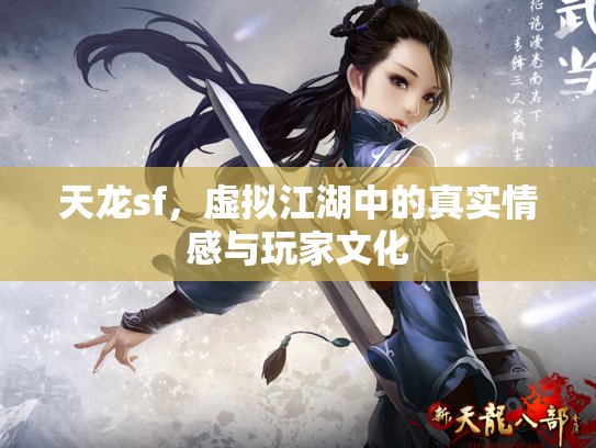天龙sf，虚拟江湖中的真实情感与玩家文化