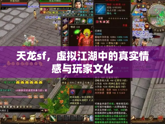天龙sf，虚拟江湖中的真实情感与玩家文化