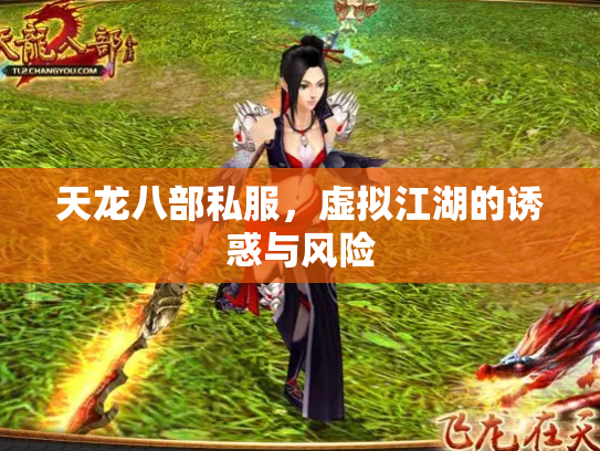 天龙八部私服，虚拟江湖的诱惑与风险