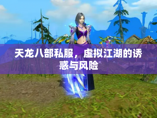 天龙八部私服，虚拟江湖的诱惑与风险