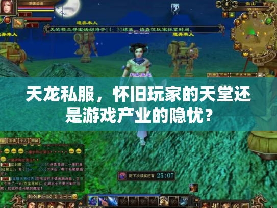 天龙私服，怀旧玩家的天堂还是游戏产业的隐忧？