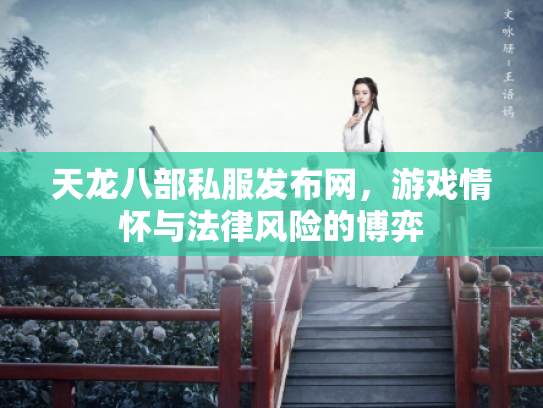 天龙八部私服发布网，游戏情怀与法律风险的博弈