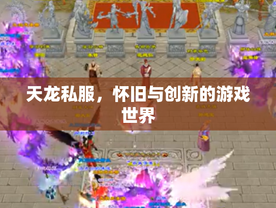 天龙私服，怀旧与创新的游戏世界