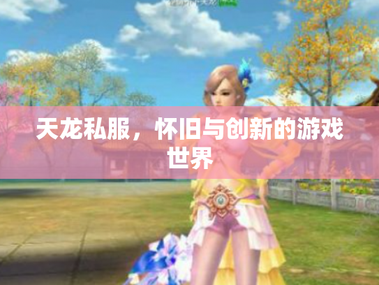 天龙私服，怀旧与创新的游戏世界