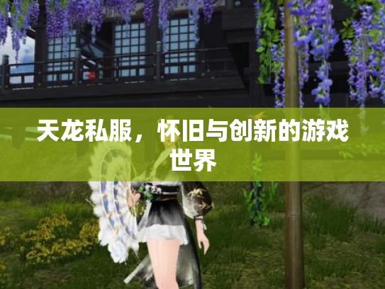 天龙私服，怀旧与创新的游戏世界