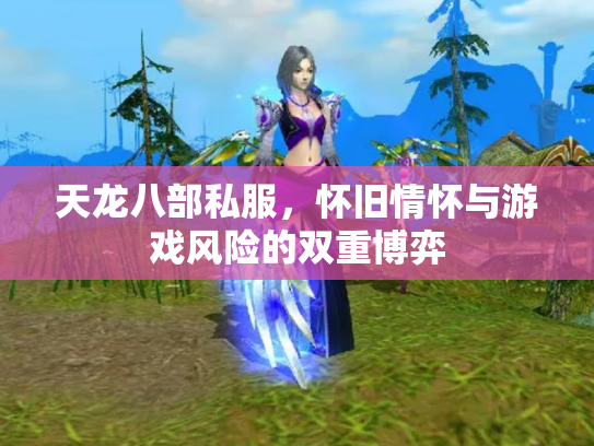 天龙八部私服，怀旧情怀与游戏风险的双重博弈