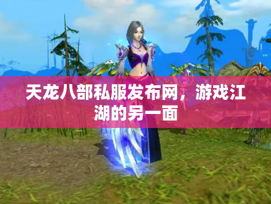 天龙八部私服发布网，游戏江湖的另一面