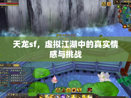 天龙sf，虚拟江湖中的真实情感与挑战