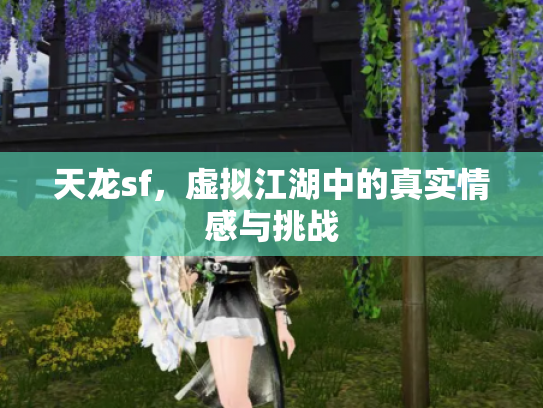 天龙sf，虚拟江湖中的真实情感与挑战