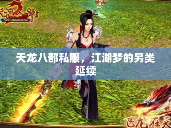 天龙八部私服，江湖梦的另类延续
