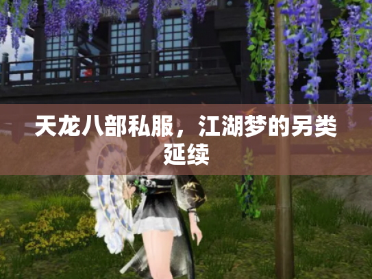 天龙八部私服，江湖梦的另类延续