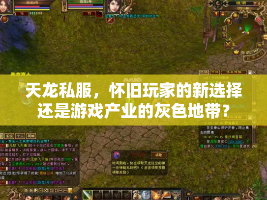 天龙私服，怀旧玩家的新选择还是游戏产业的灰色地带？