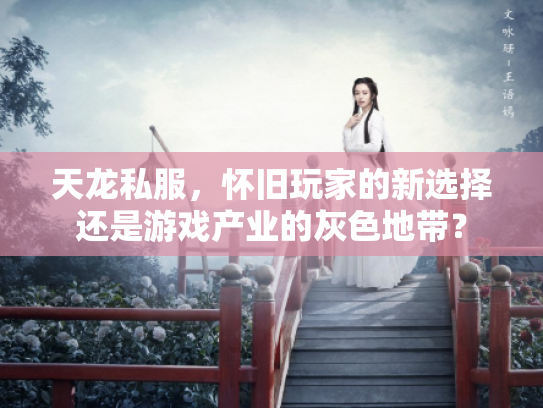 天龙私服，怀旧玩家的新选择还是游戏产业的灰色地带？