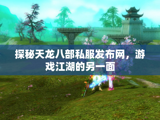 探秘天龙八部私服发布网，游戏江湖的另一面