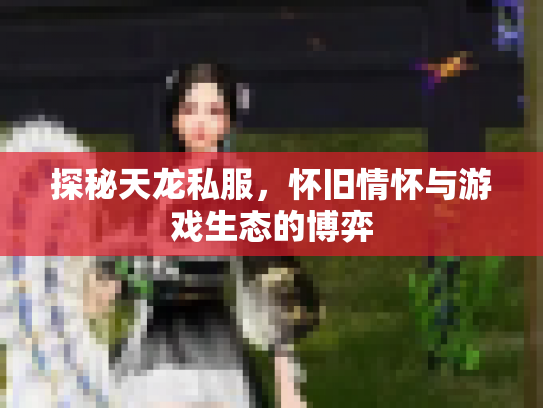 探秘天龙私服，怀旧情怀与游戏生态的博弈