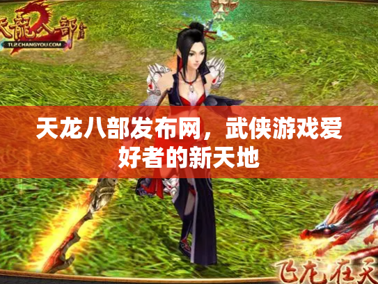 天龙八部发布网，武侠游戏爱好者的新天地