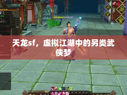 天龙sf，虚拟江湖中的另类武侠梦