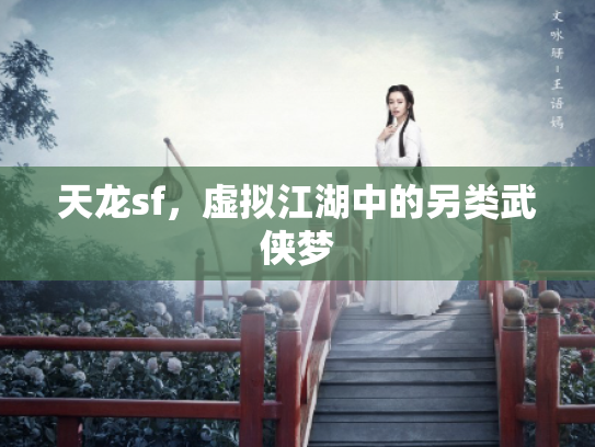 天龙sf，虚拟江湖中的另类武侠梦