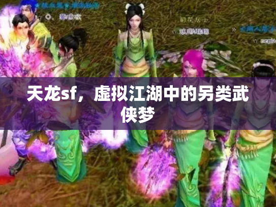 天龙sf，虚拟江湖中的另类武侠梦