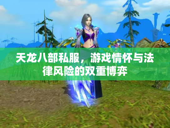天龙八部私服，游戏情怀与法律风险的双重博弈
