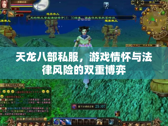 天龙八部私服，游戏情怀与法律风险的双重博弈