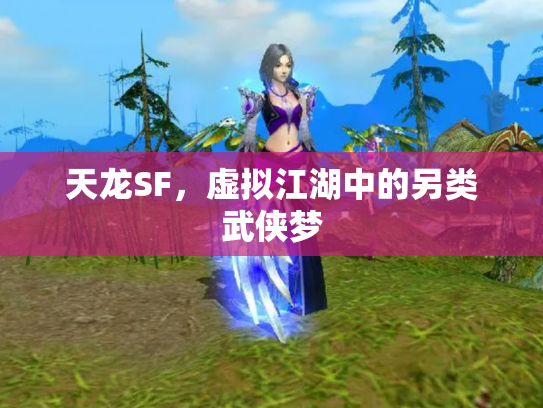 天龙SF，虚拟江湖中的另类武侠梦