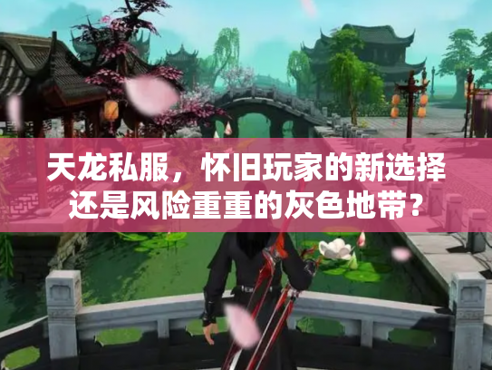 天龙私服，怀旧玩家的新选择还是风险重重的灰色地带？