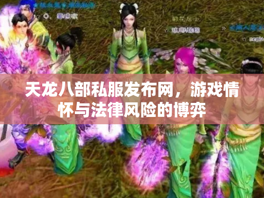 天龙八部私服发布网，游戏情怀与法律风险的博弈