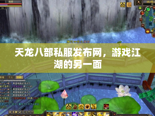 天龙八部私服发布网，游戏江湖的另一面