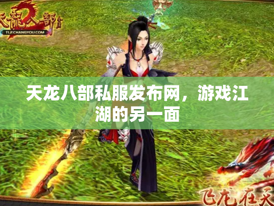 天龙八部私服发布网，游戏江湖的另一面