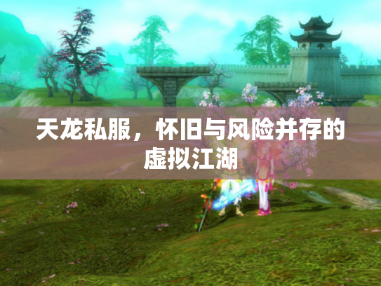 天龙私服，怀旧与风险并存的虚拟江湖