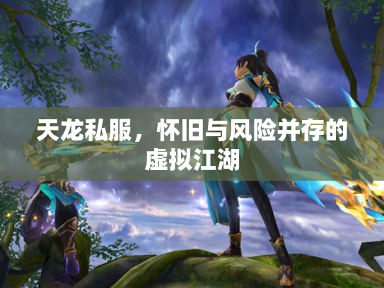 天龙私服，怀旧与风险并存的虚拟江湖
