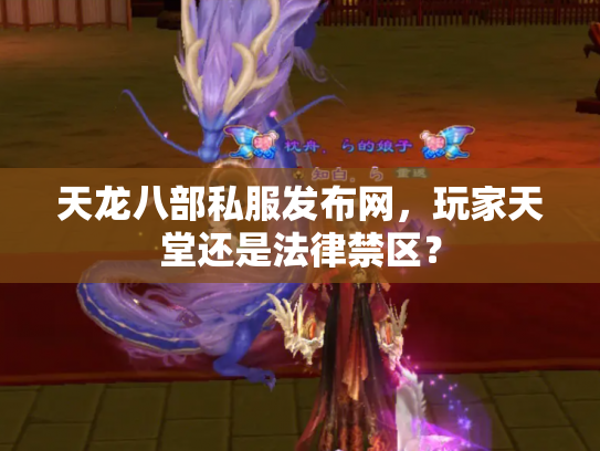 天龙八部私服发布网，玩家天堂还是法律禁区？