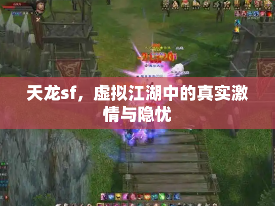 天龙sf，虚拟江湖中的真实激情与隐忧