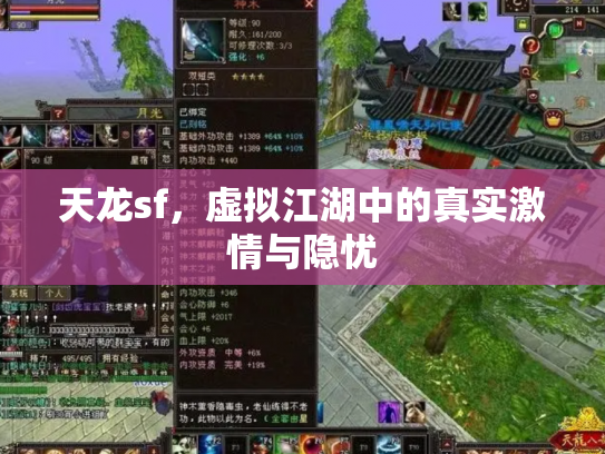 天龙sf，虚拟江湖中的真实激情与隐忧