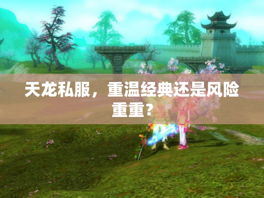 天龙私服，重温经典还是风险重重？