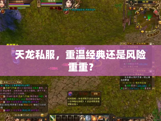 天龙私服，重温经典还是风险重重？