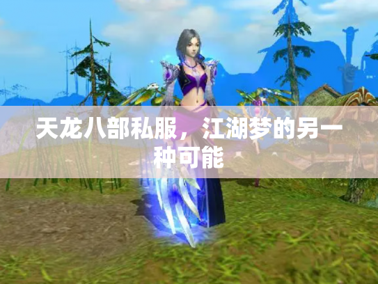 天龙八部私服，江湖梦的另一种可能