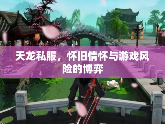 天龙私服，怀旧情怀与游戏风险的博弈