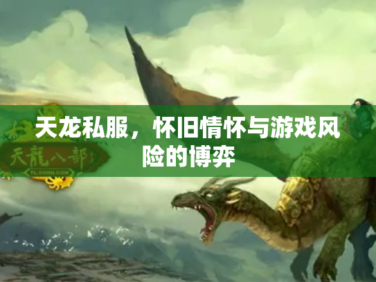 天龙私服，怀旧情怀与游戏风险的博弈