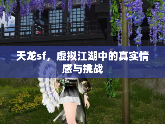 天龙sf，虚拟江湖中的真实情感与挑战