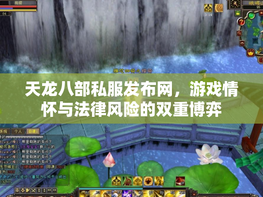 天龙八部私服发布网，游戏情怀与法律风险的双重博弈