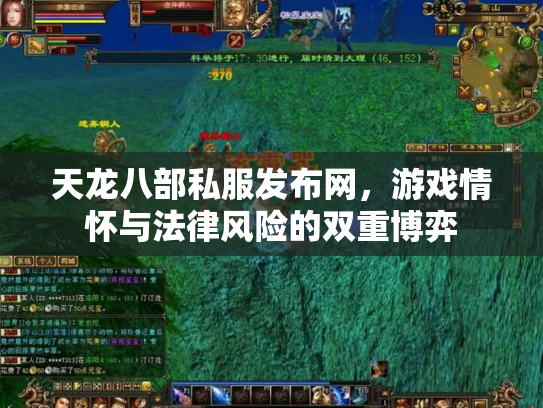 天龙八部私服发布网，游戏情怀与法律风险的双重博弈